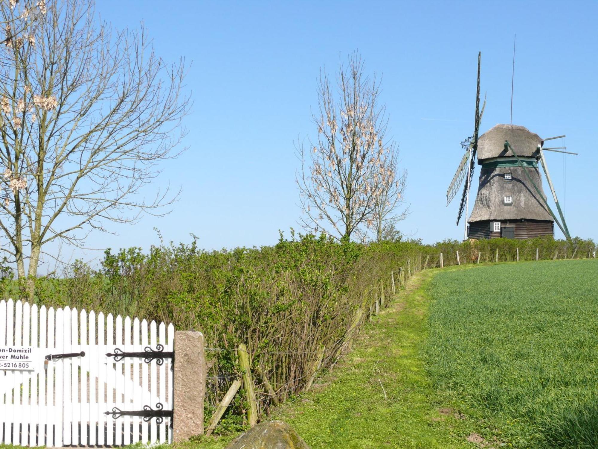 Beautiful Authentic Mill Close To The Beach Wangels Extérieur photo