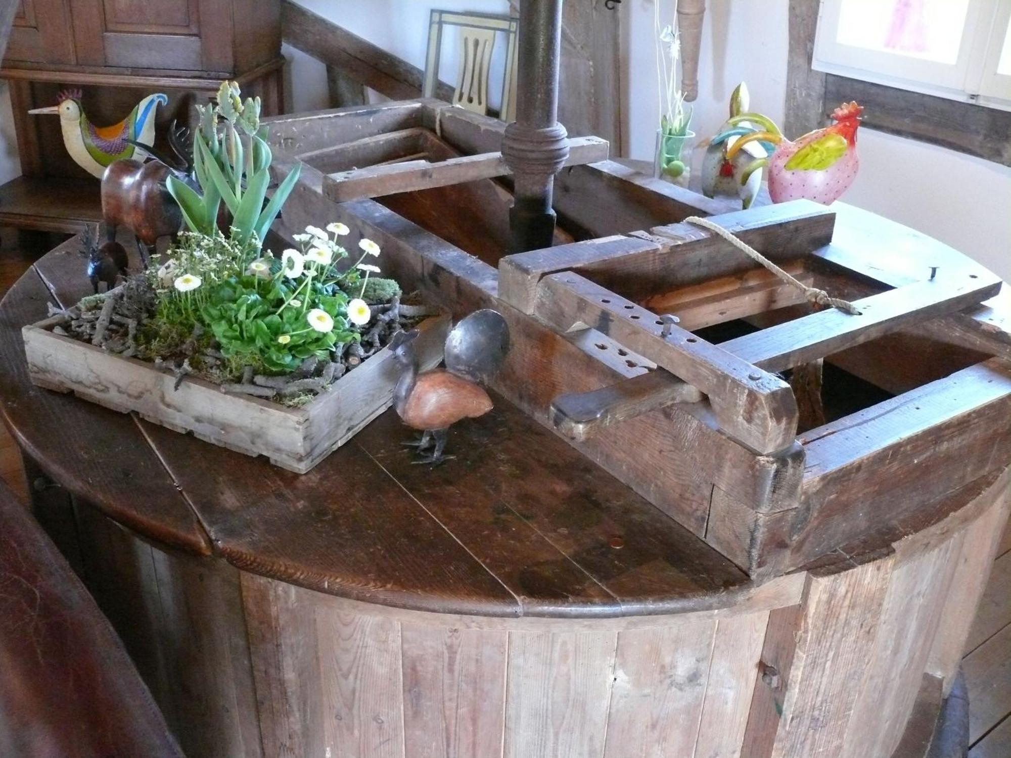 Beautiful Authentic Mill Close To The Beach Wangels Extérieur photo